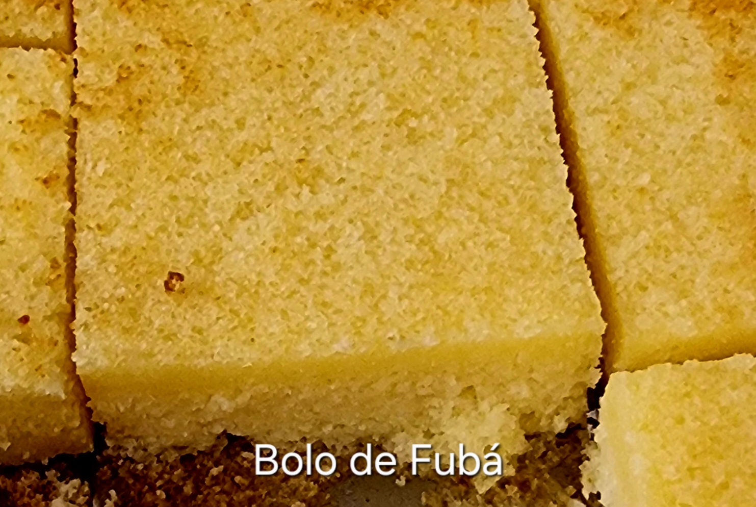 20250106_103946 - Copia - Copia.jpg